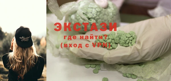 гидра Богородск