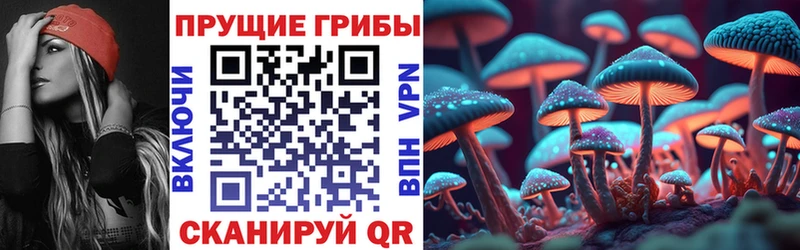 Псилоцибиновые грибы MAGIC MUSHROOMS  МЕГА как войти  Ефремов 